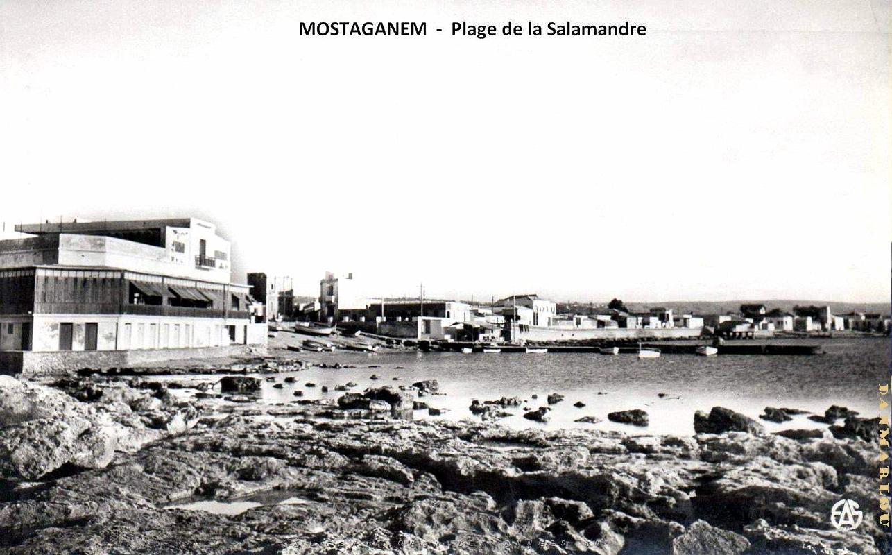 Mostaganem - Plage de la Salamandre 50.jpg